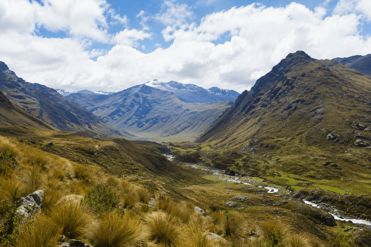 Agua y resiliencia